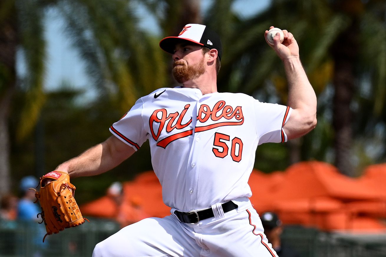 MLB: Spring Training-Tampa Bay Rays at Baltimore Orioles