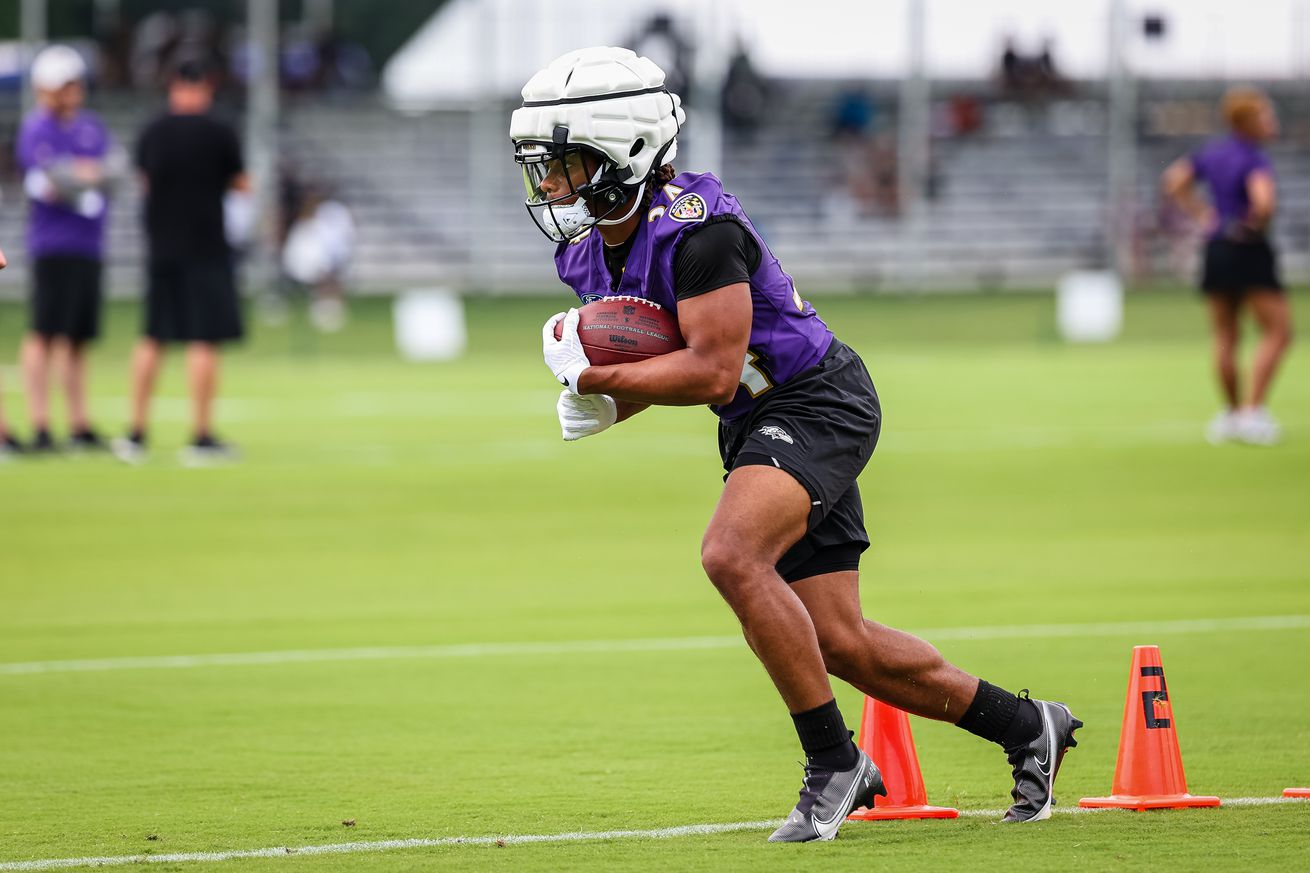 Baltimore Ravens Training Camp