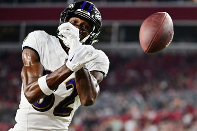 Baltimore Ravens v Tampa Bay Buccaneers