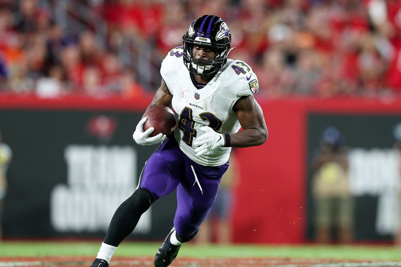 NFL: Baltimore Ravens at Tampa Bay Buccaneers