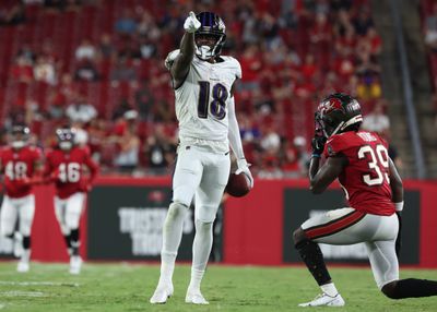 NFL: Preseason-Baltimore Ravens at Tampa Bay Buccaneers