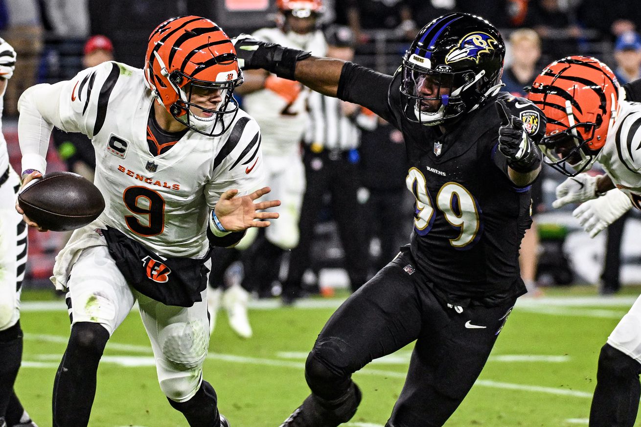 NFL: NOV 16 Bengals at Ravens