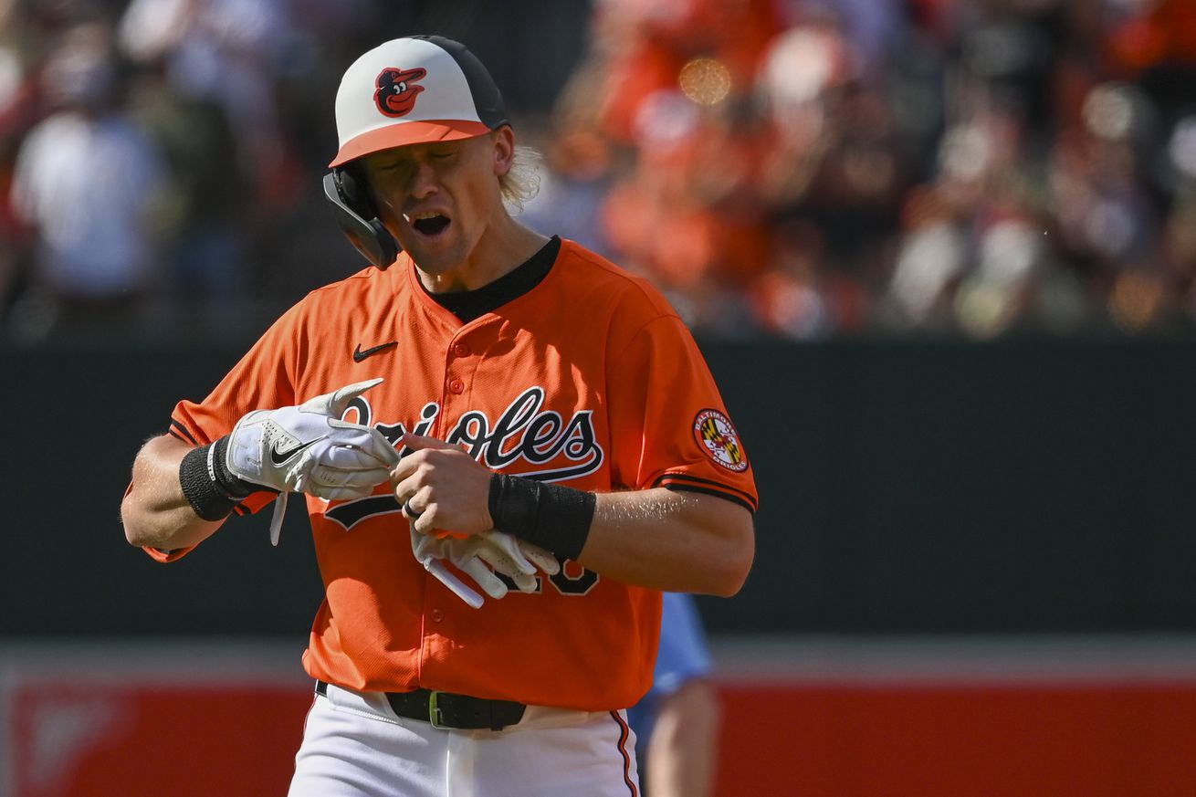 MLB: Tampa Bay Rays at Baltimore Orioles