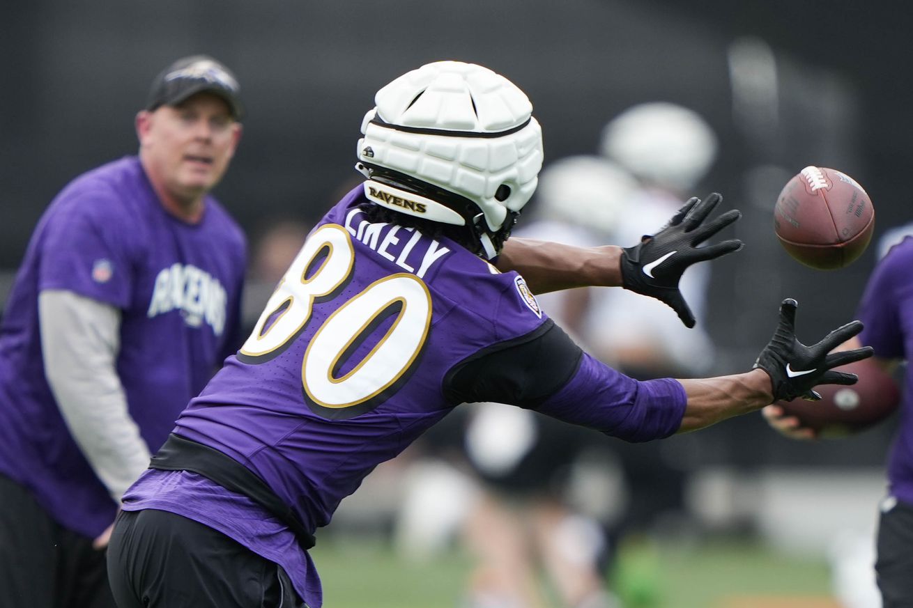 NFL: Baltimore Ravens Training Camp