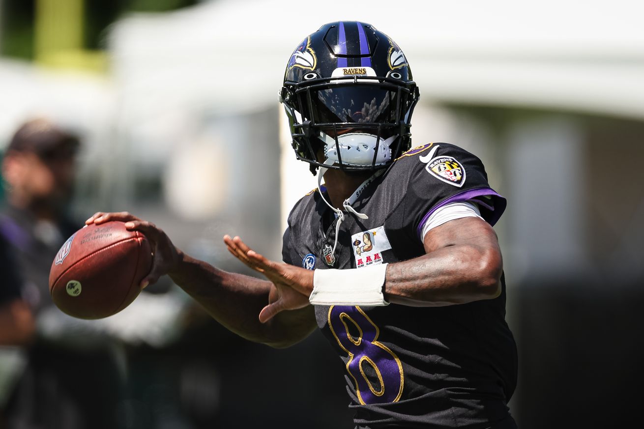 Baltimore Ravens Training Camp