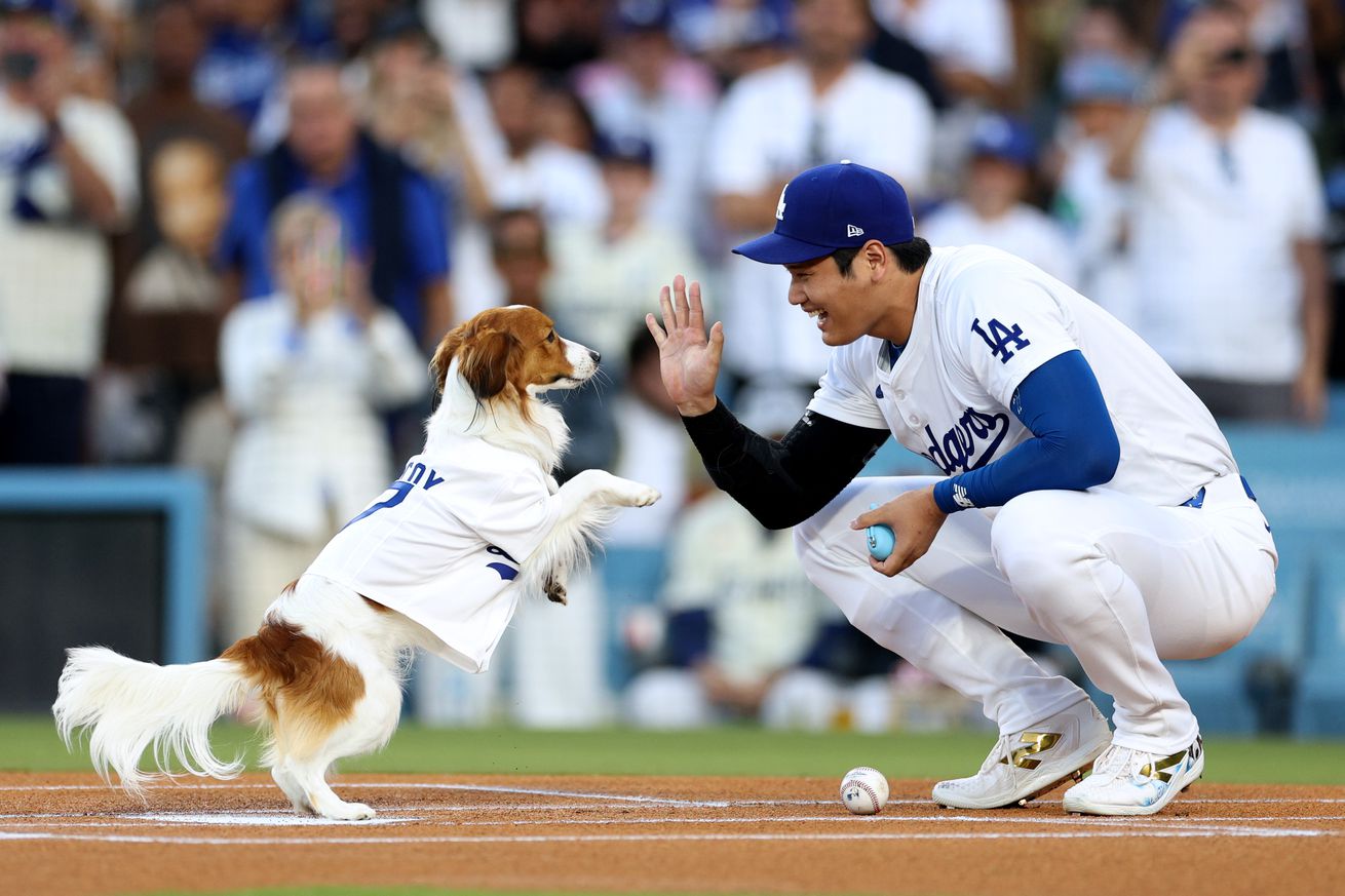 Baltimore Orioles v Los Angeles Dodgers