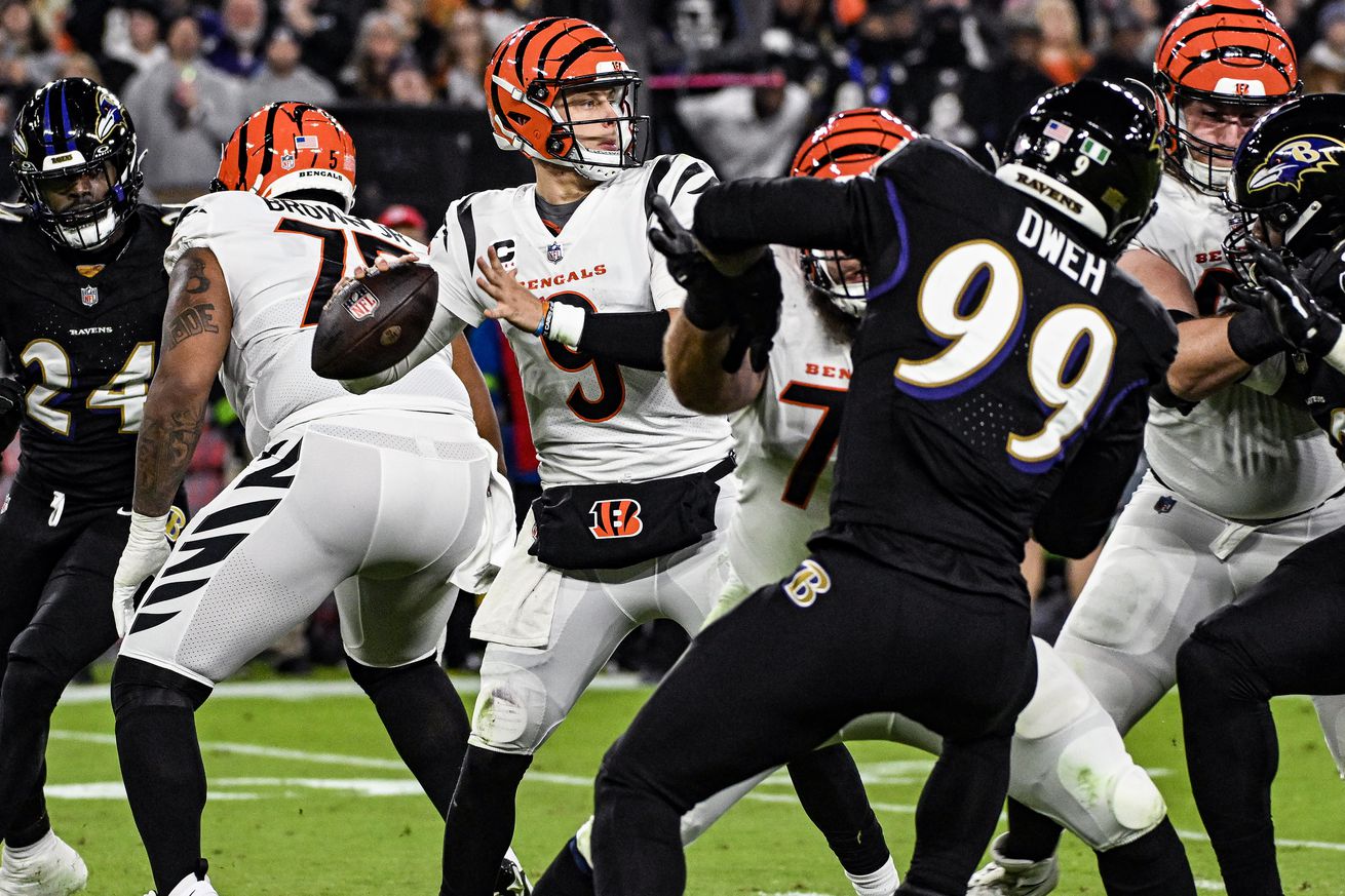 NFL: NOV 16 Bengals at Ravens