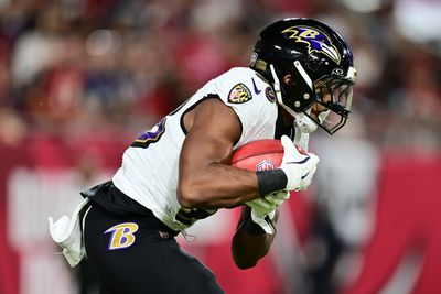 Baltimore Ravens v Tampa Bay Buccaneers