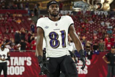 Baltimore Ravens v Tampa Bay Buccaneers