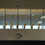 Los Angeles Lakers championship trophies