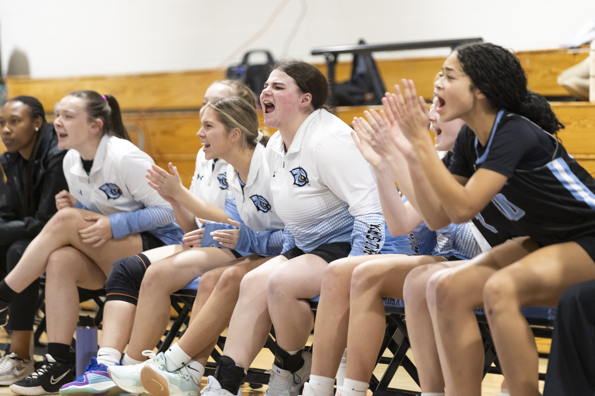 The Westminster bench cheers as a free throw by Maddy...