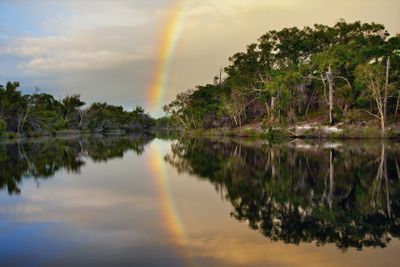 Rainbow reflected in the Noosa River