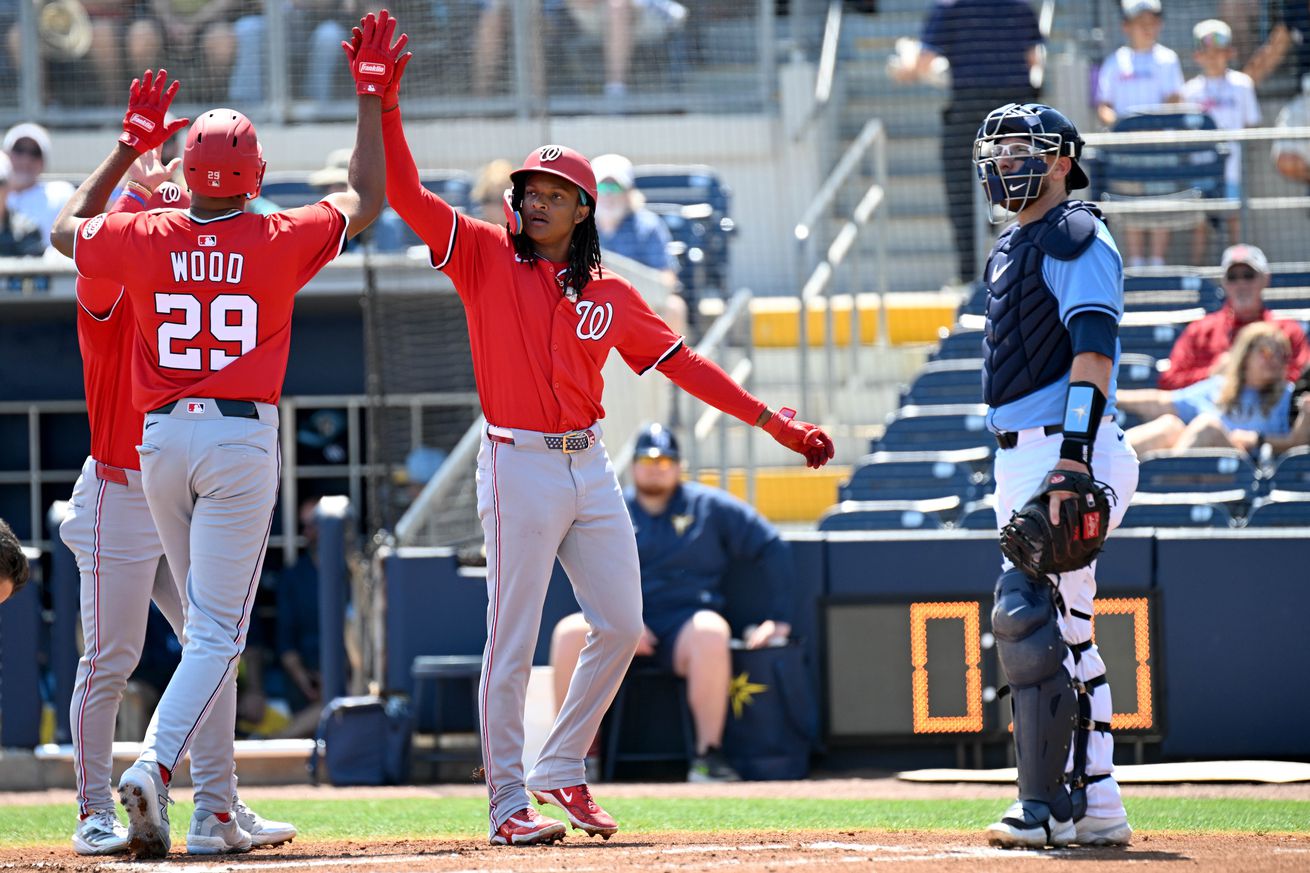 MLB: Spring Training-Washington Nationals at Tampa Bay Rays